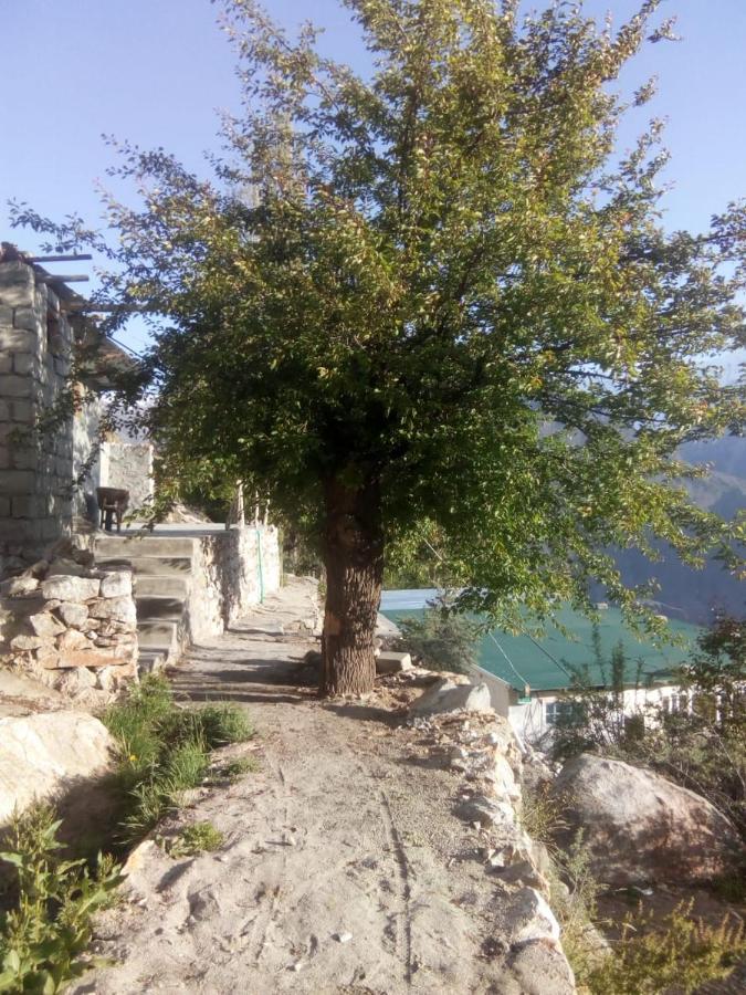 Venus Mountain Resort, Hunza Karimabad  외부 사진
